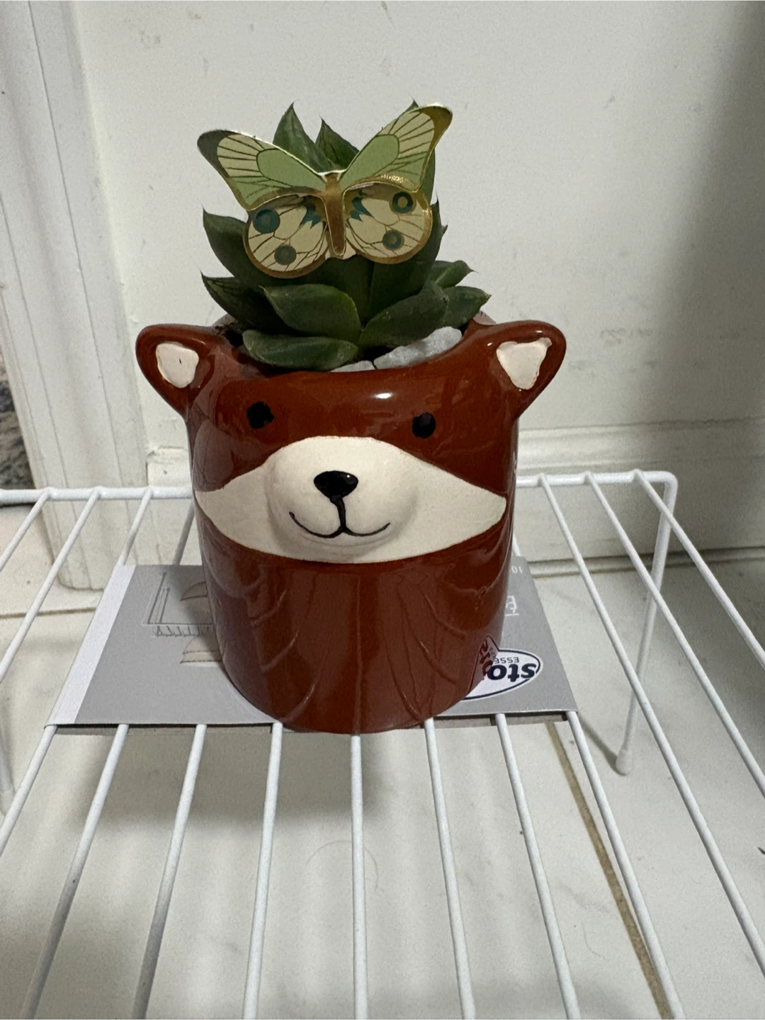 Cute Animal Succulent Planters with Butterfly Decorations - photo 5