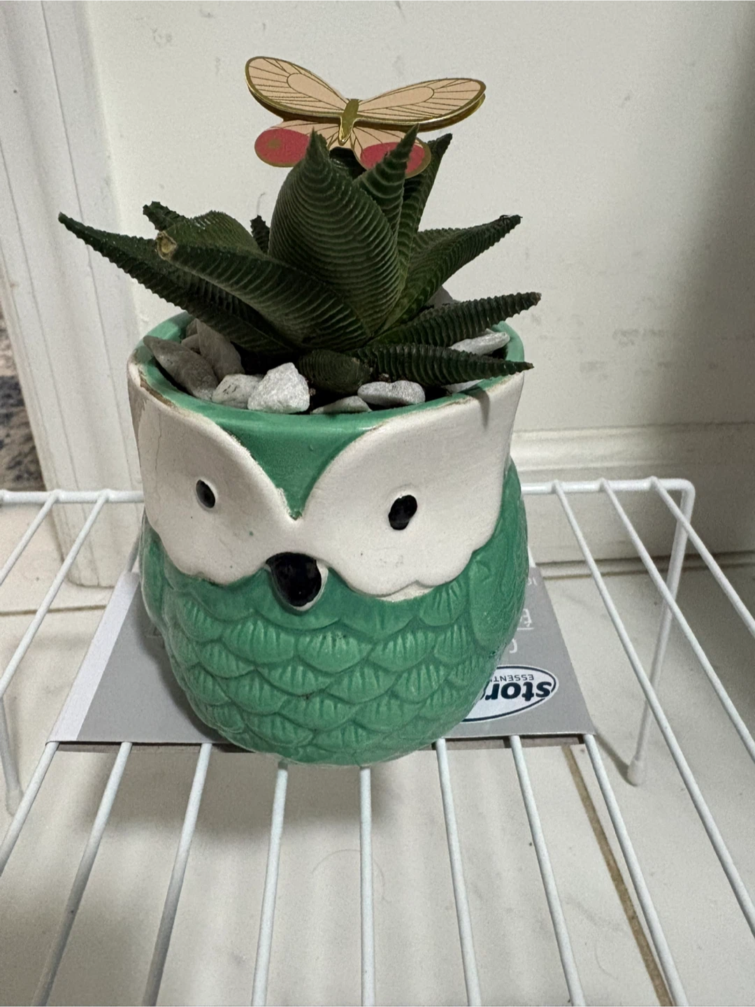 Cute Animal Succulent Planters with Butterfly Decorations - photo 4