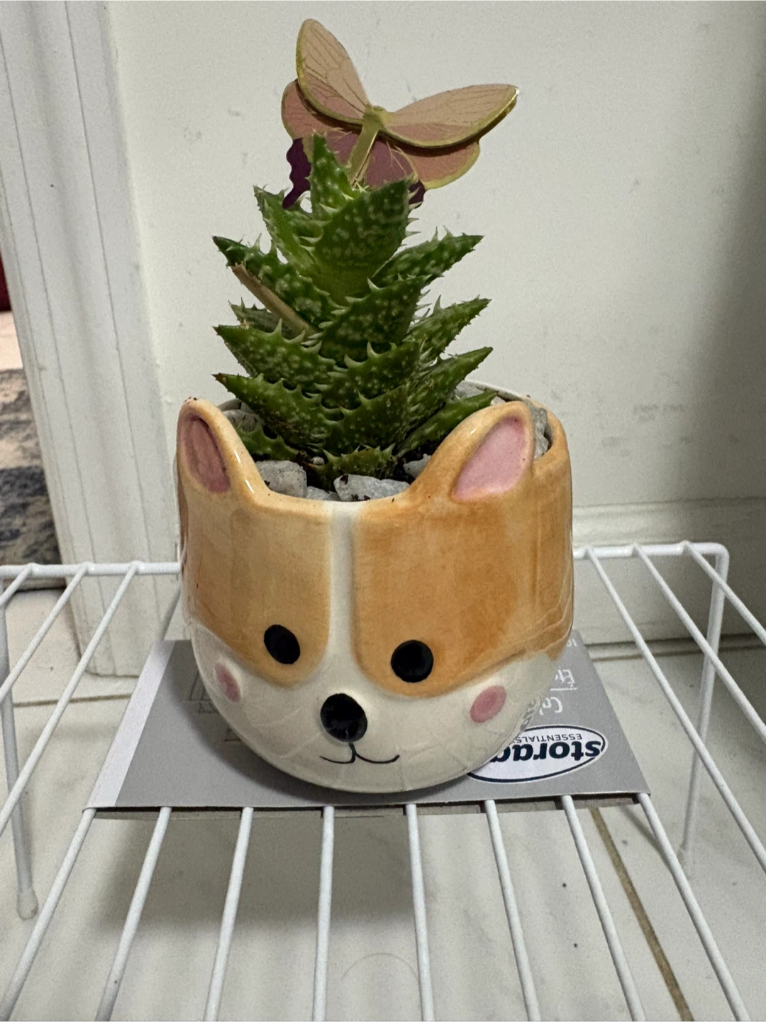 Cute Animal Succulent Planters with Butterfly Decorations - photo 2