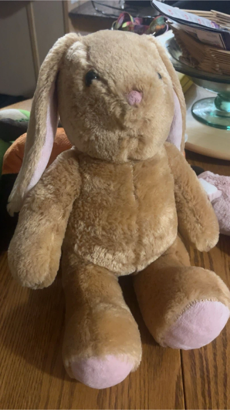 Build-A-Bear Workshop Brown Bunny Plush