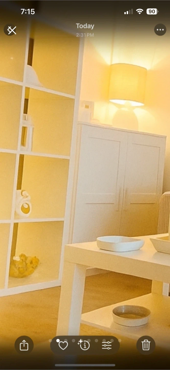 White Two-Door Cabinet with Shelves