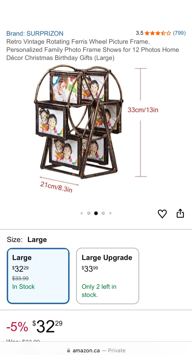 Ferris Wheel Picture Frame 🥕 - photo 5