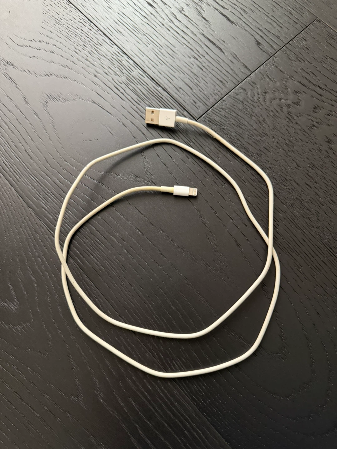 Apple Lightning to USB Cable 🥕