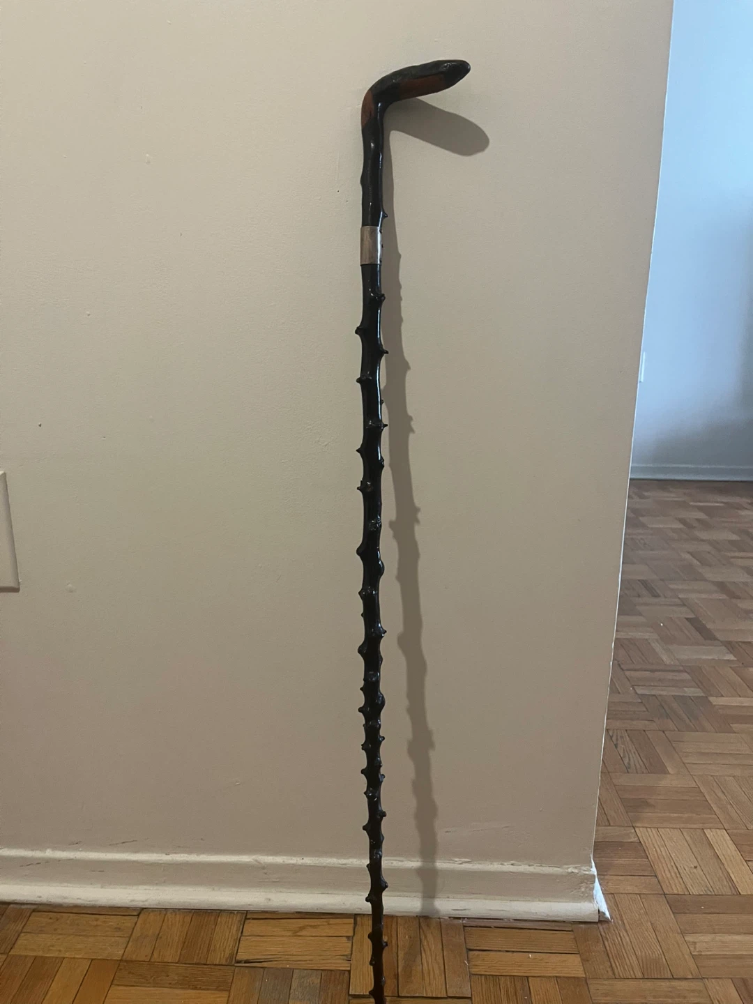 Vintage Irish black thorn, stick 925silver clasp around the top - photo 2