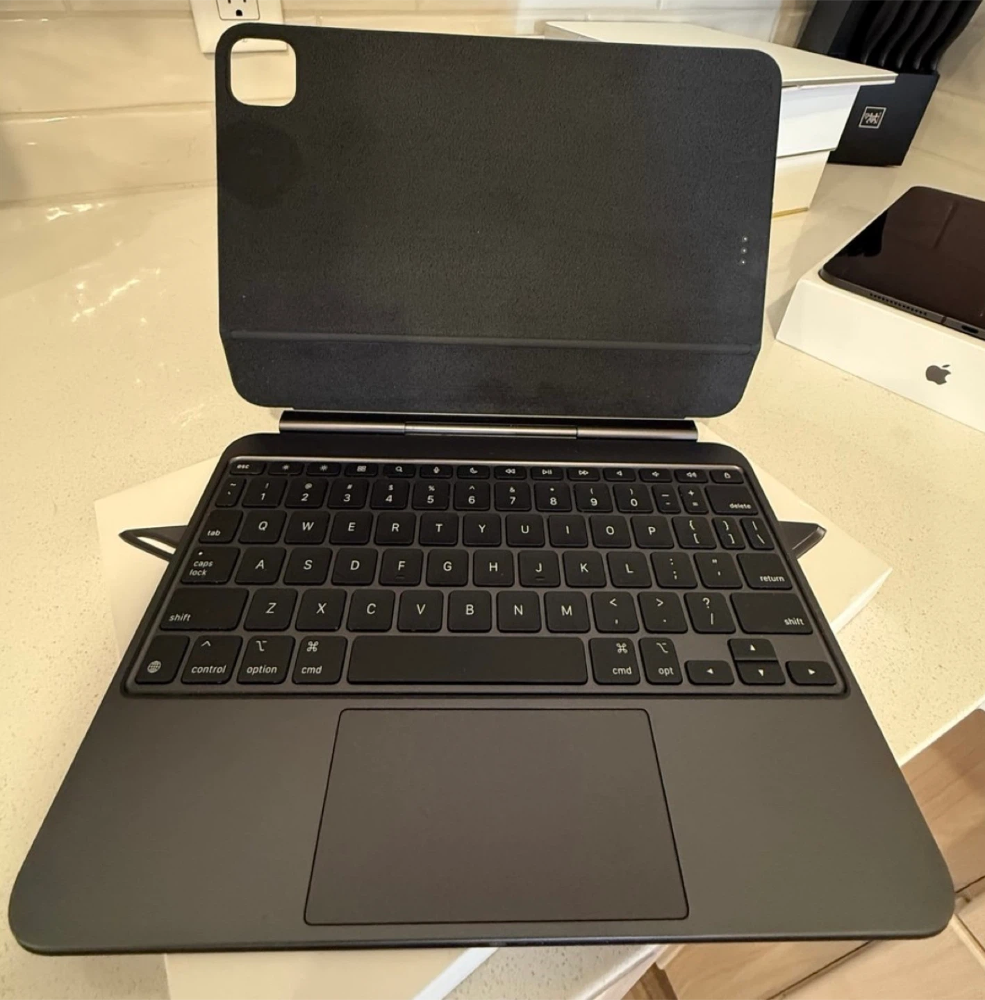Apple iPad Pro 13-inch (M4) Wi-Fi + Cellular and Magic Keyboard - photo 3