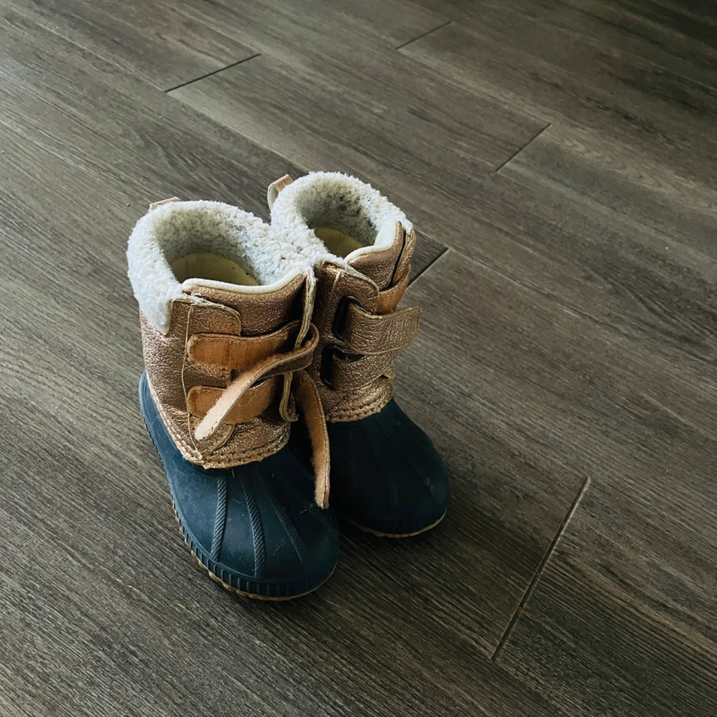 GAP Toddler boots