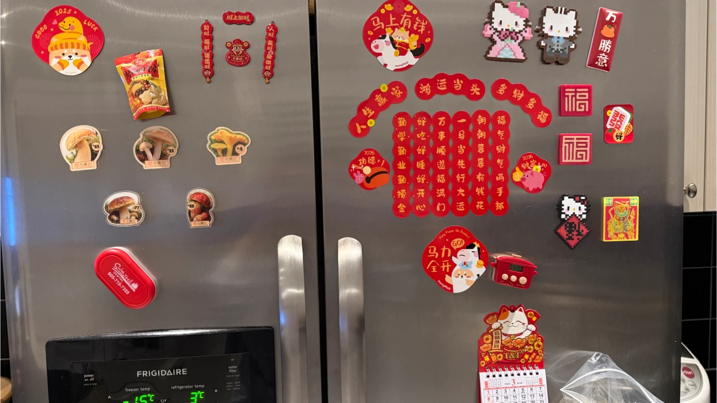 Assorted Chinese New Year and Mushroom Fridge Magnets