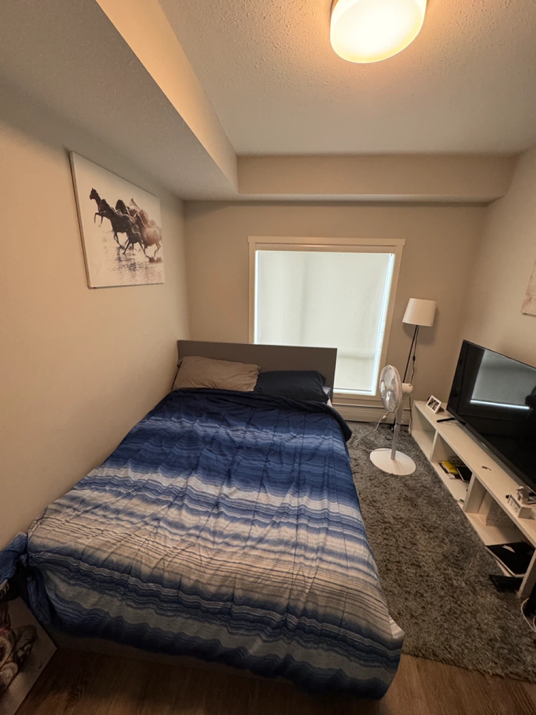 Private room for rent - photo 3