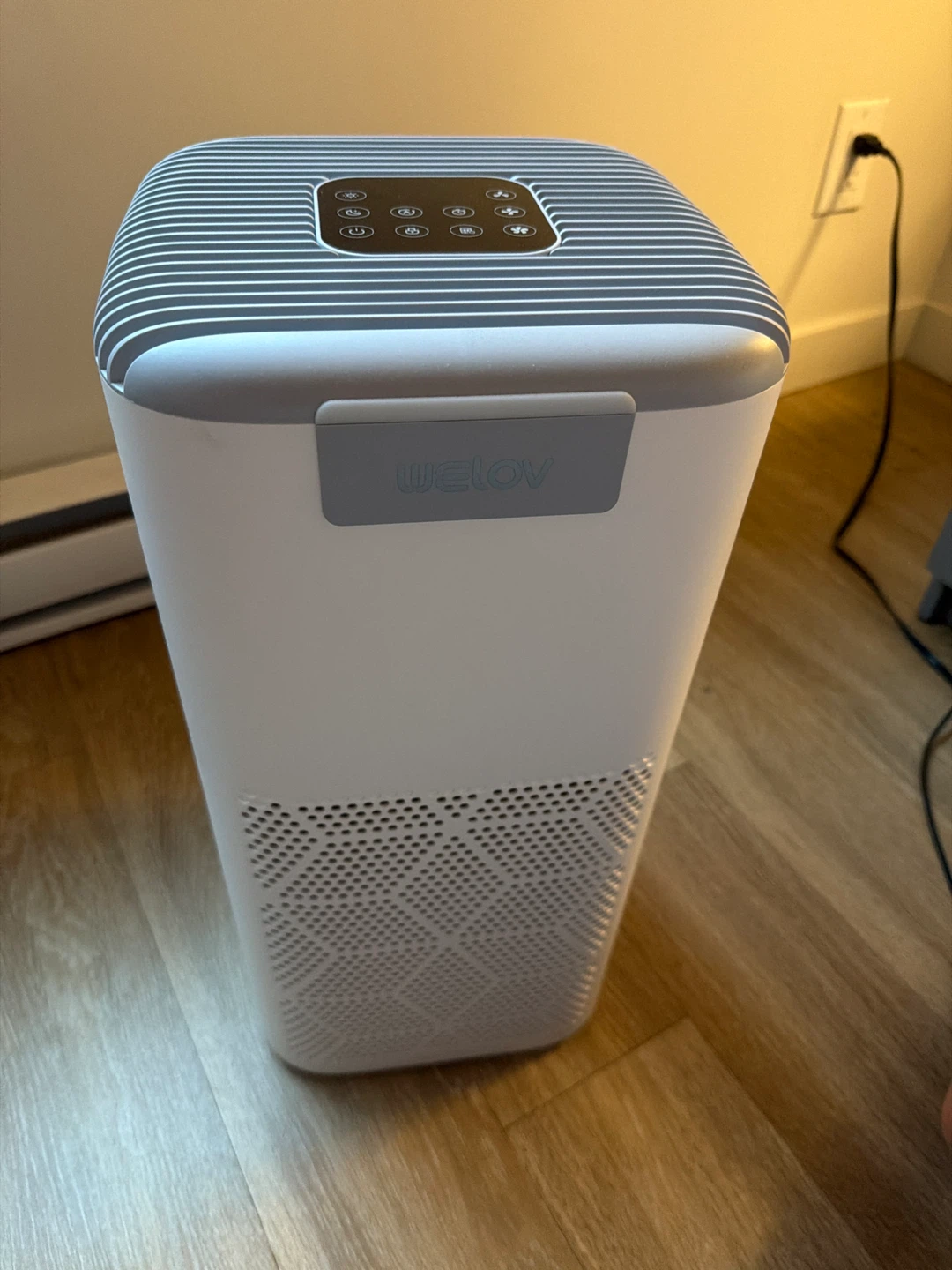 Welov Air Purifier