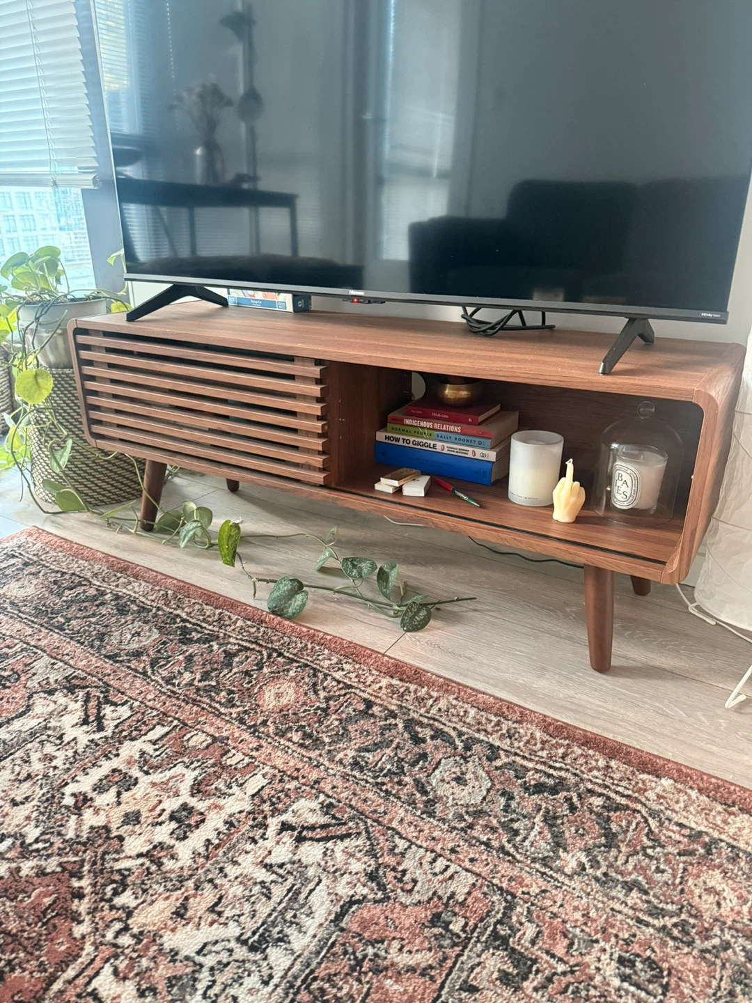 Mid-century Modern TV Stand