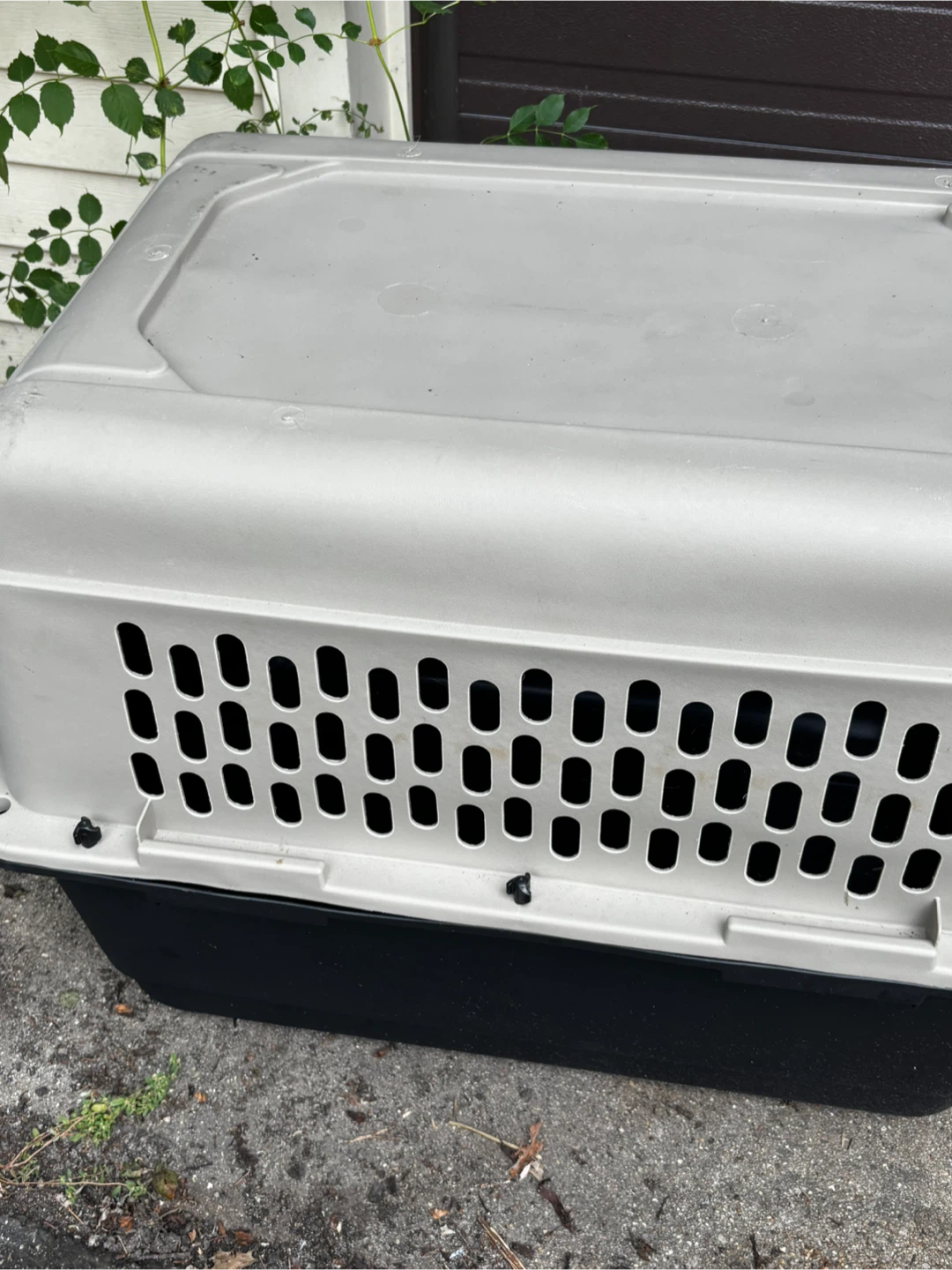 Petmate Dog Crate Carrier - photo 2
