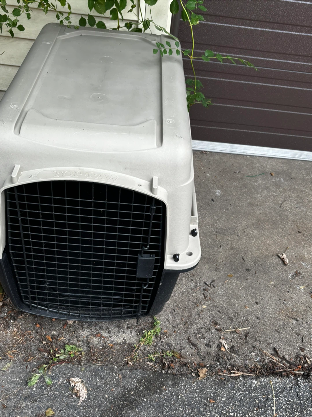 Petmate Dog Crate Carrier