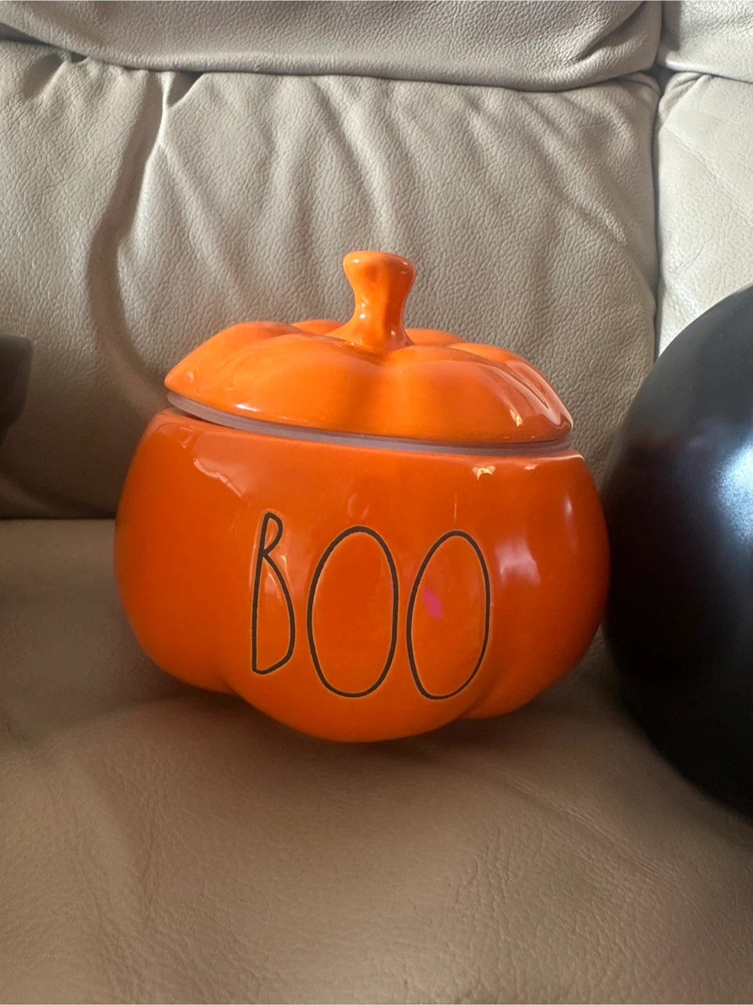 Rare and Retired Rae Dunn Halloween Lot - photo 4