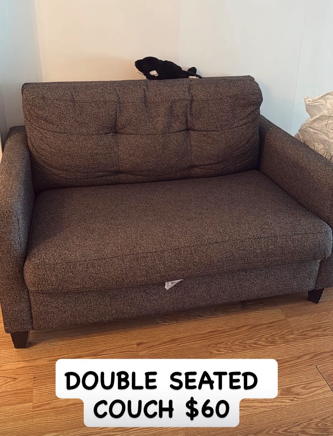 Double Seated Couch