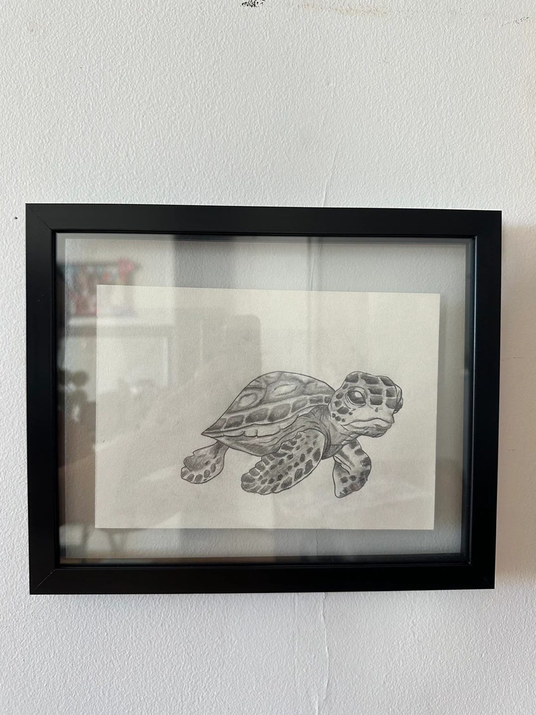 Framed Pencil Sketch of a Sea Turtle - photo 2