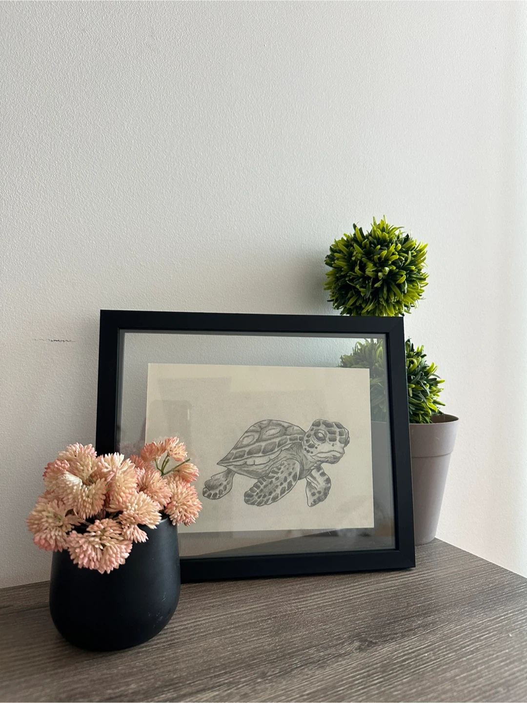 Framed Pencil Sketch of a Sea Turtle