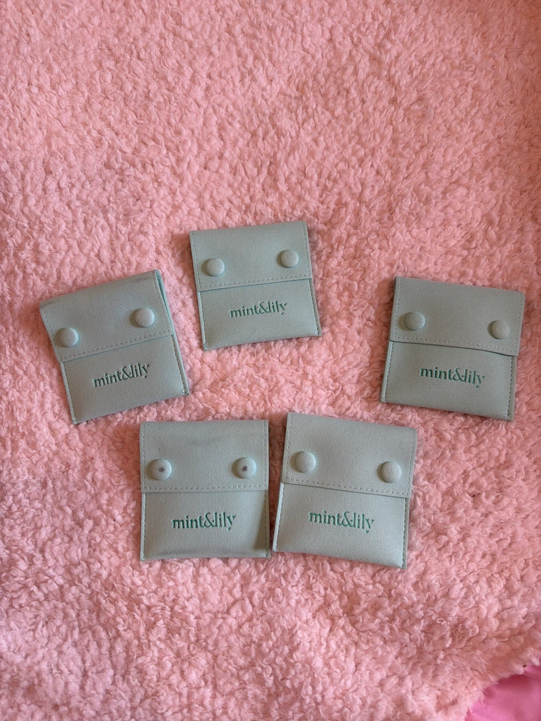 Mint & Lily Jewelry Pouches (Set of 5)