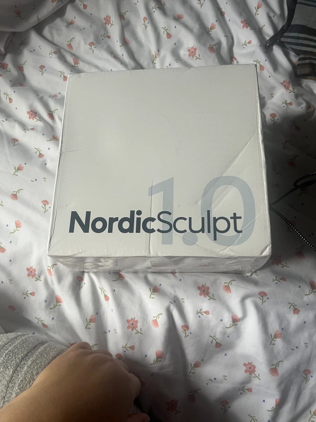 NordicSculpt 1.0