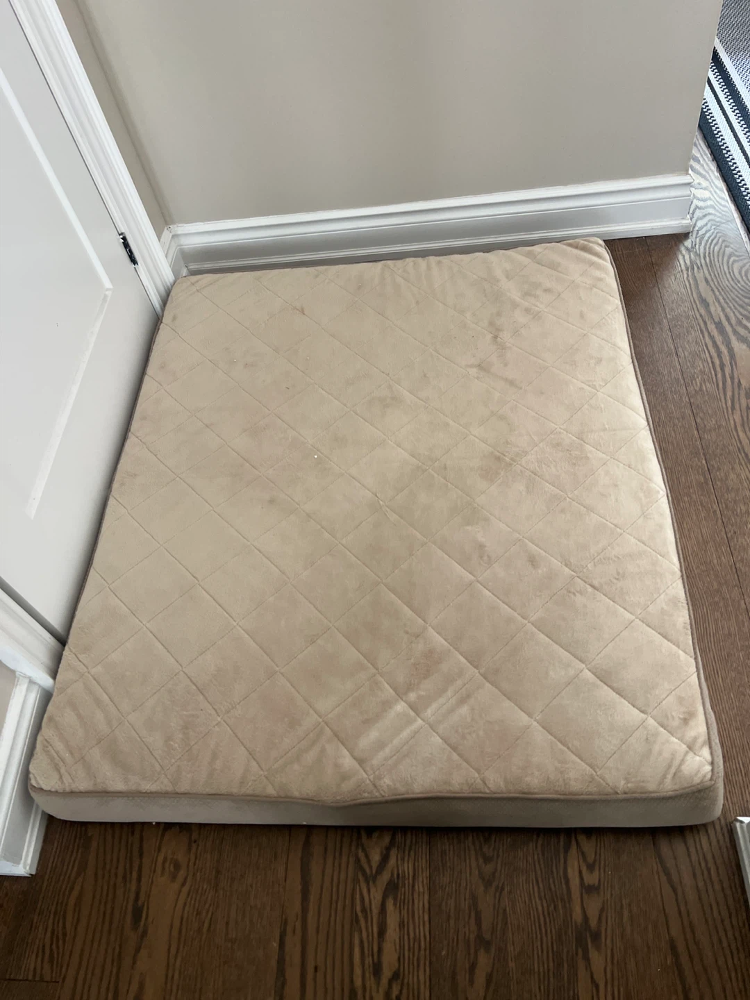 Serta Perfect Sleeper Pet Bed