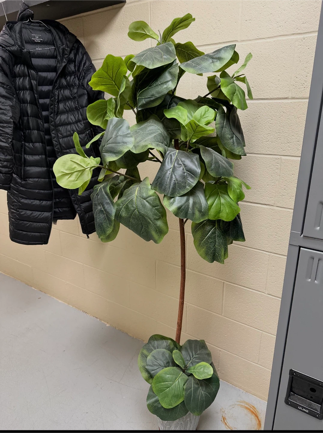 Fiddle Leaf Fig Artificial Plant