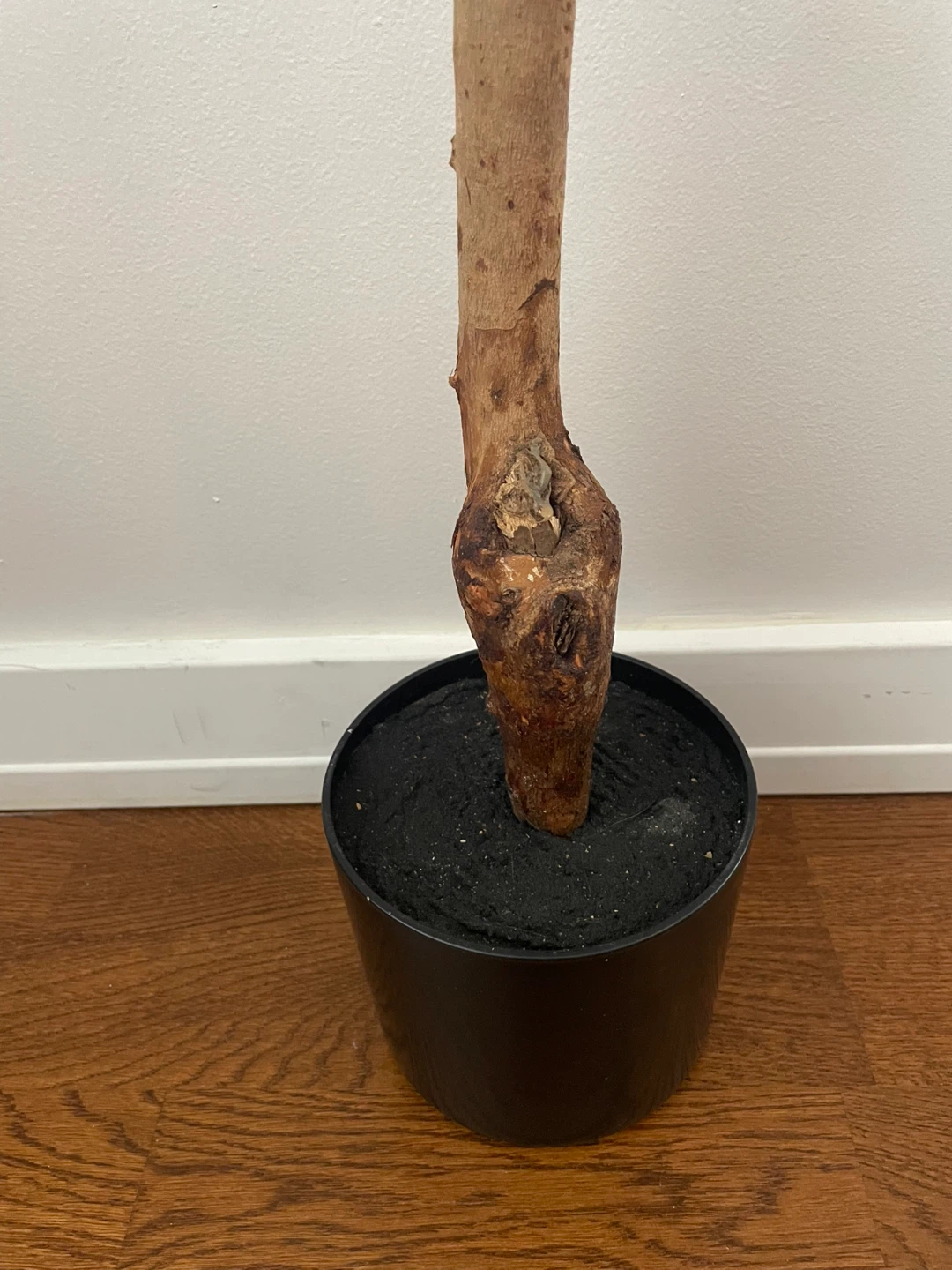 Artificial Olive Tree Plant🥕 - photo 3
