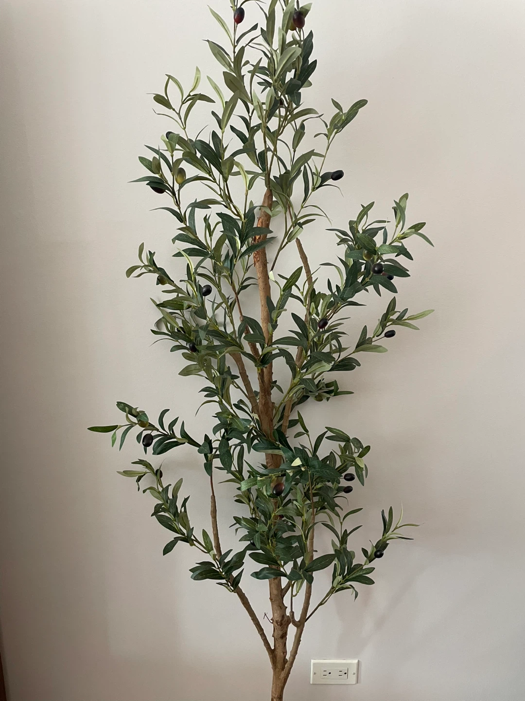 Artificial Olive Tree Plant🥕 - photo 2
