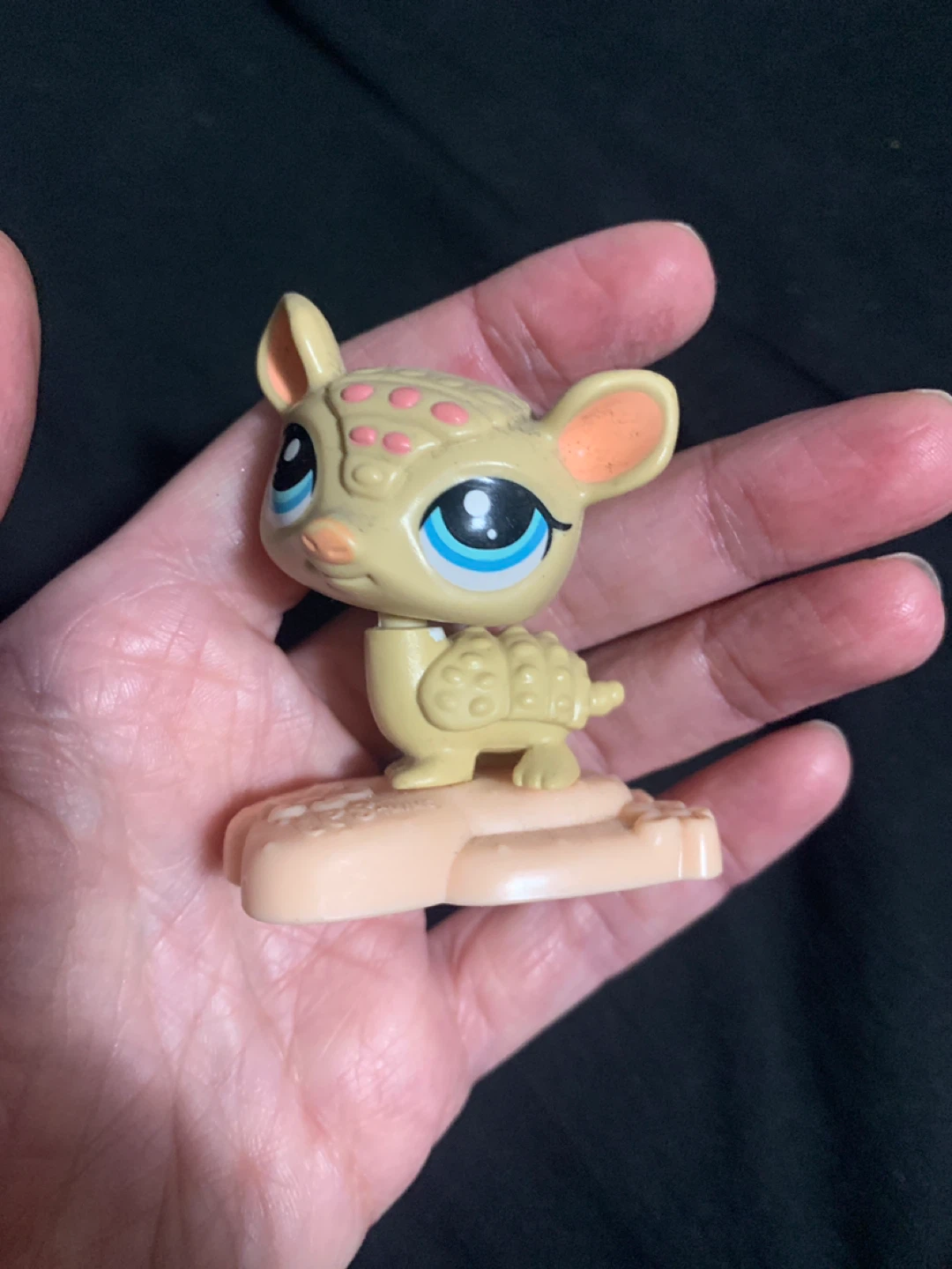 $5  hasbro 2010 LPs