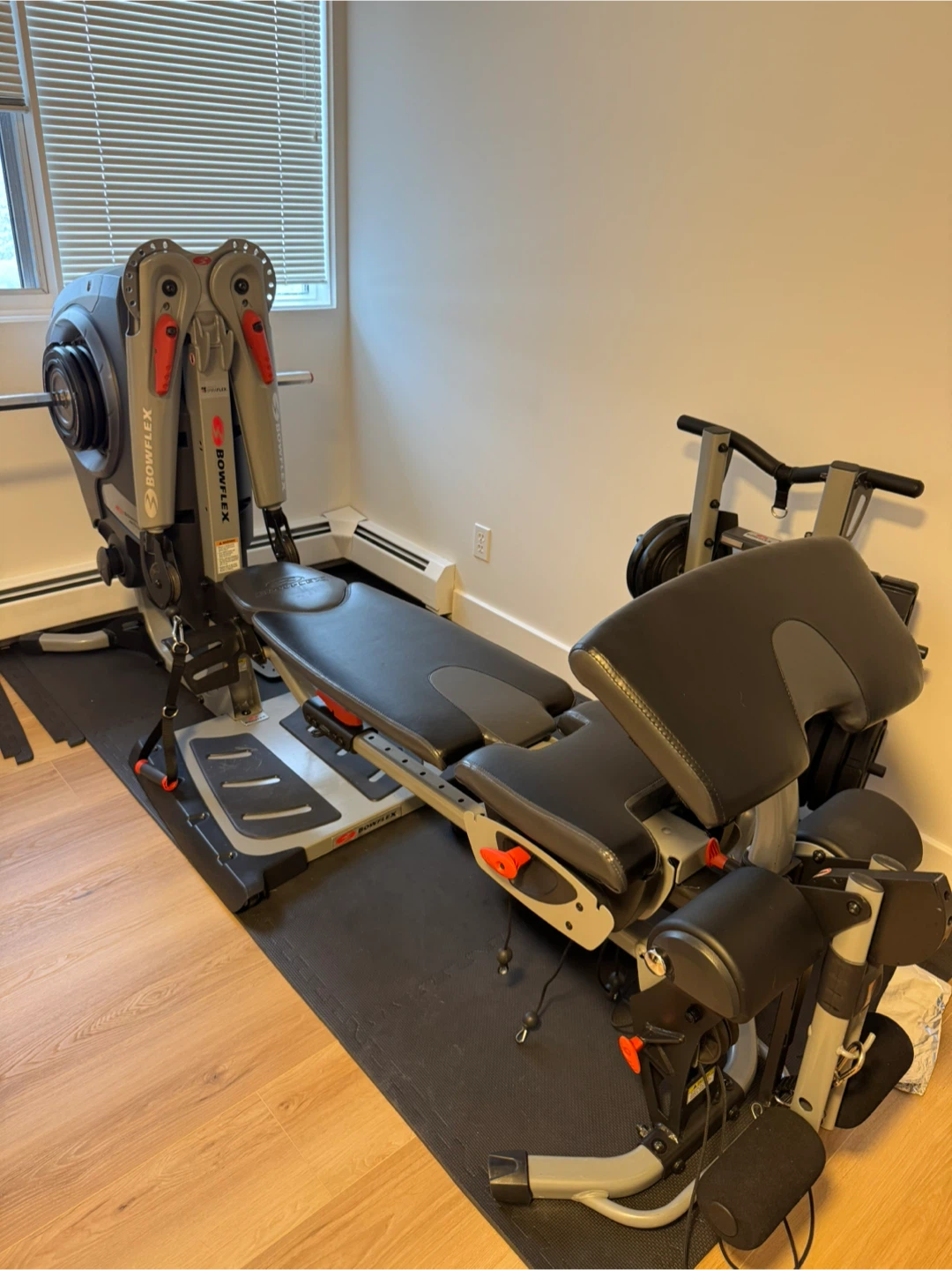Bowflex SelectTech 520i Home Gym System