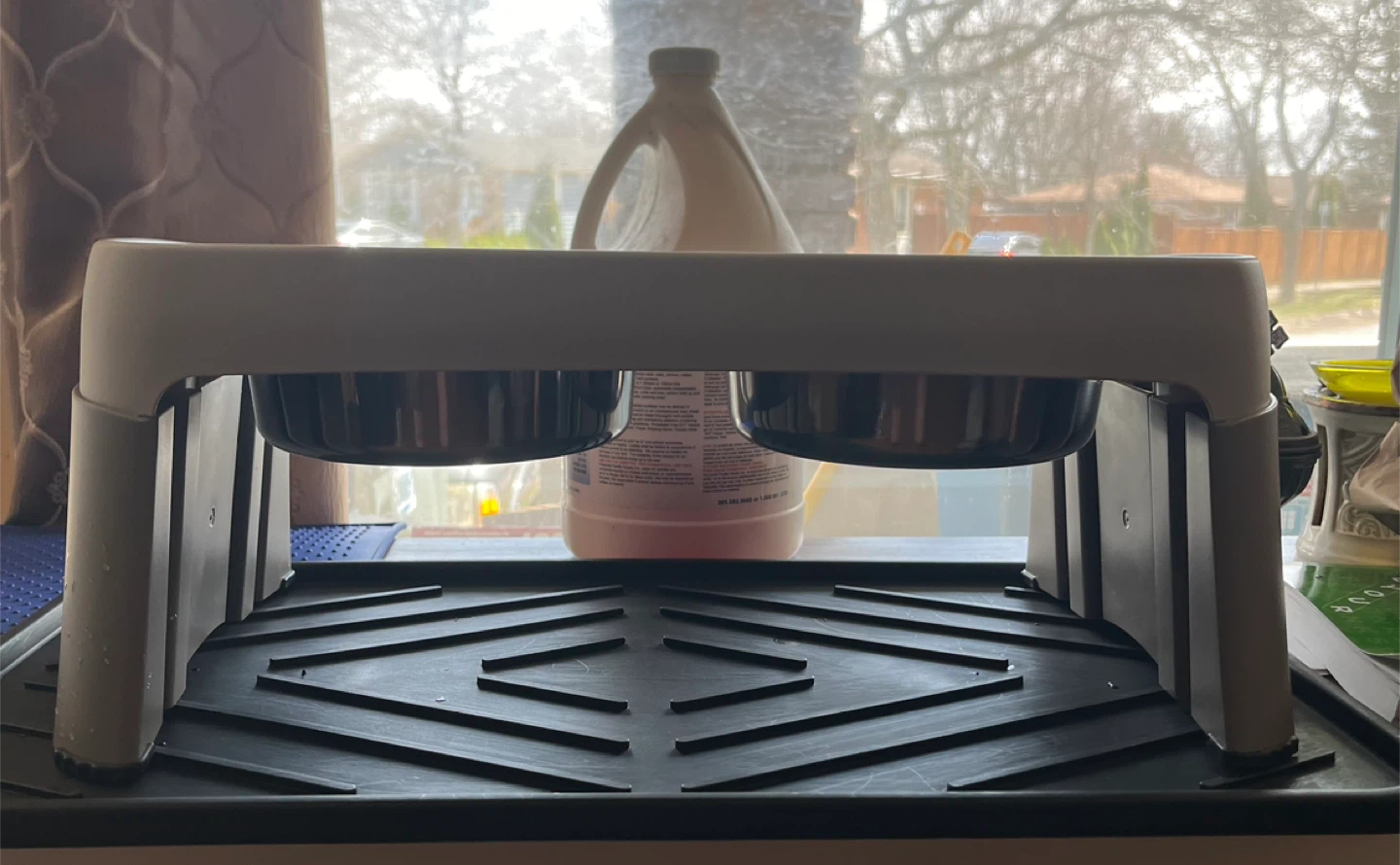 Raised Pet Bowls with Stand