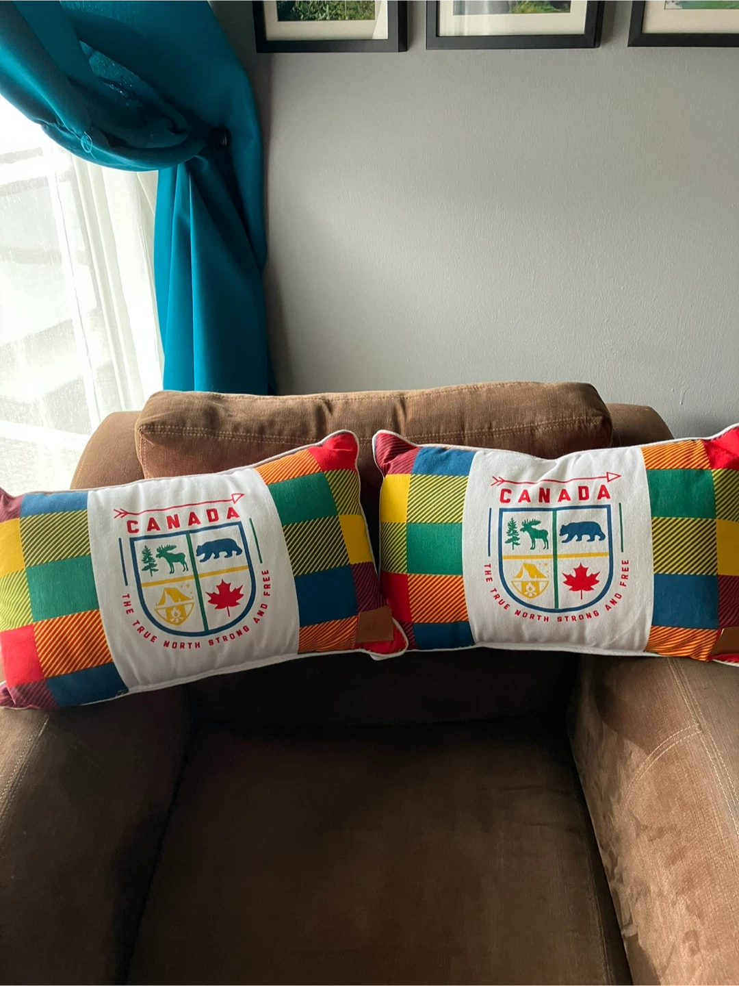 Set of 2 Canada Themed Decorative Pillows