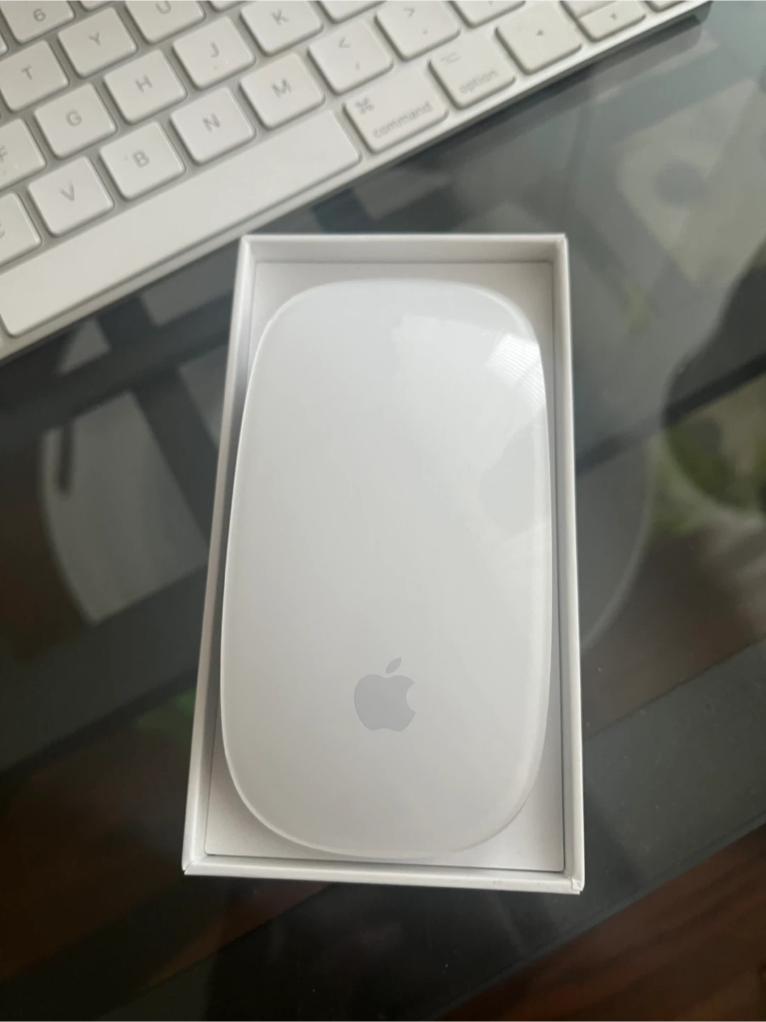 Apple Magic Mouse 2