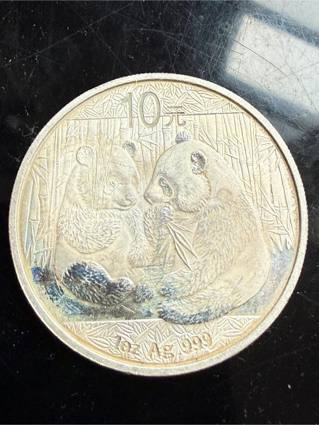 2009 China 10 Yuan Panda Silver Coin