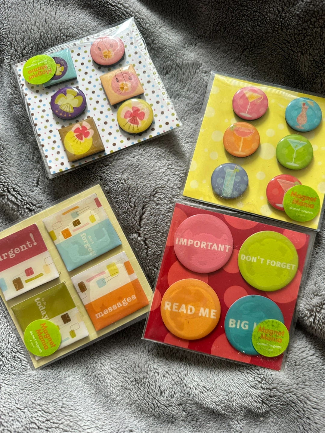 Magnet Mania Domed Magnets