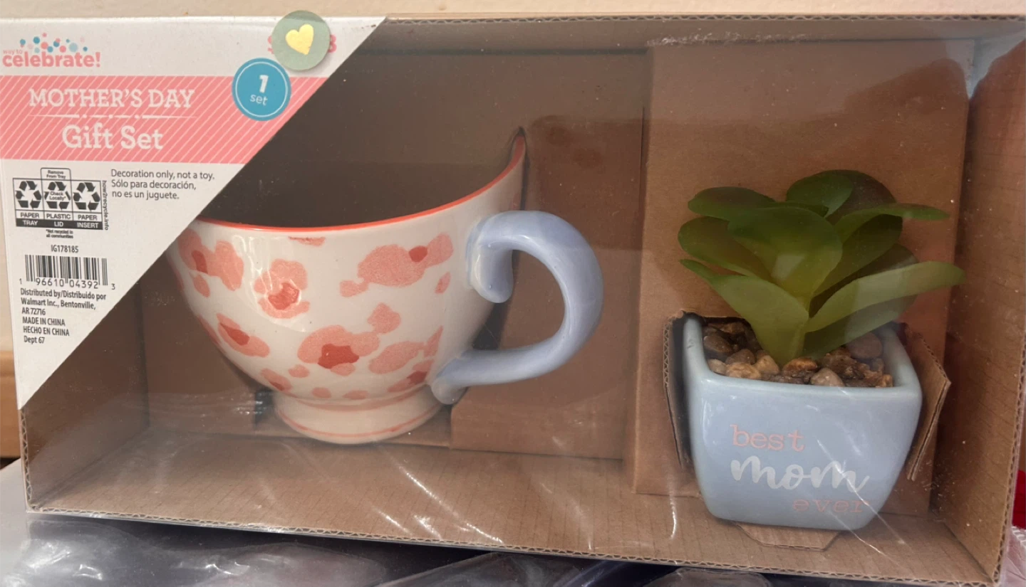 🥕 Celebrate! Mother's Day Gift Set with Mug and Faux Plant
