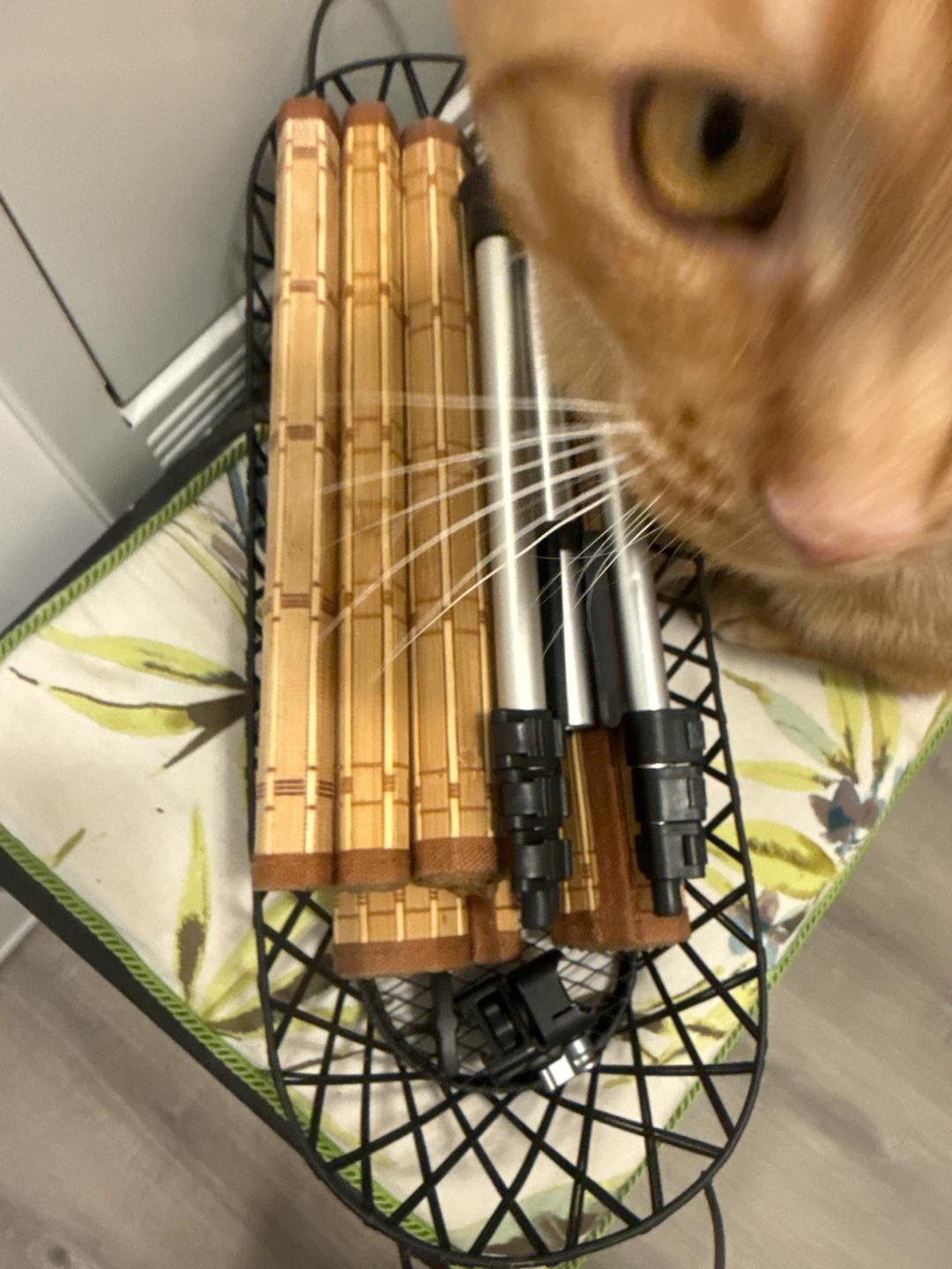Bamboo and Metal Tent Poles