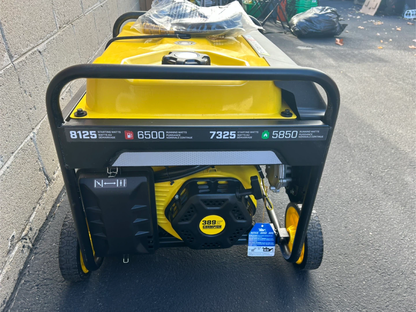 Champion Dual Fuel Generator 8125 Starting Watts - photo 3
