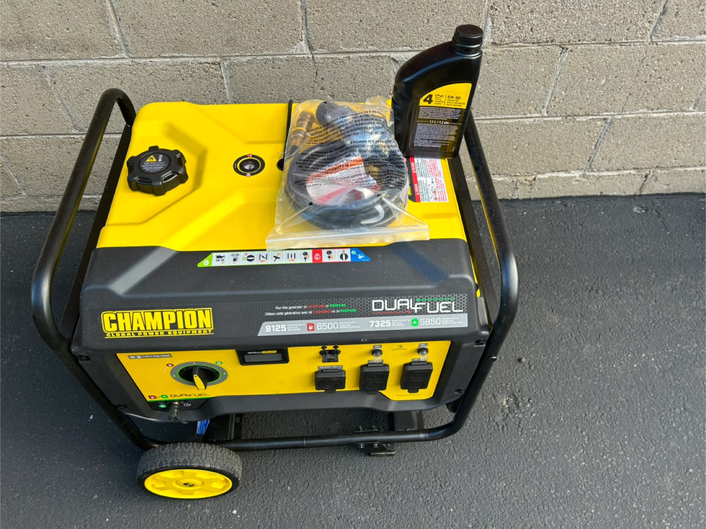 Champion Dual Fuel Generator 8125 Starting Watts - photo 2