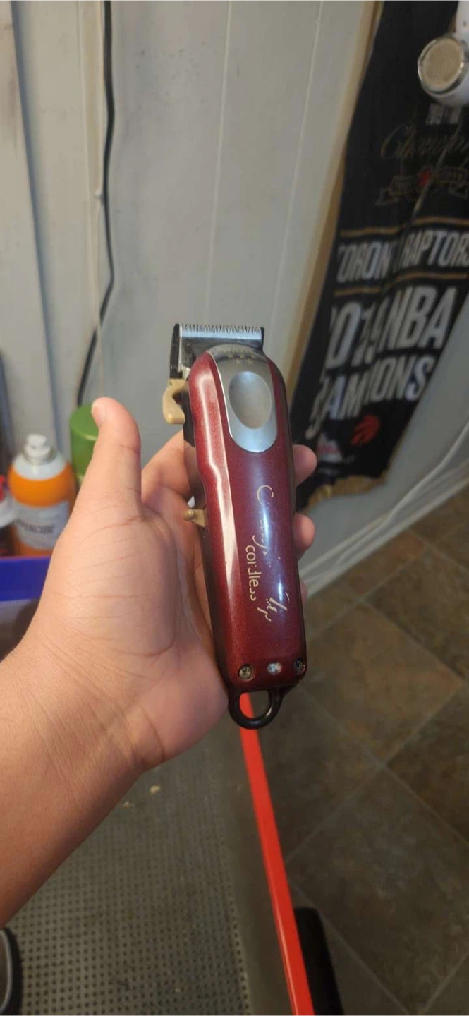 Wahl magic clips -
