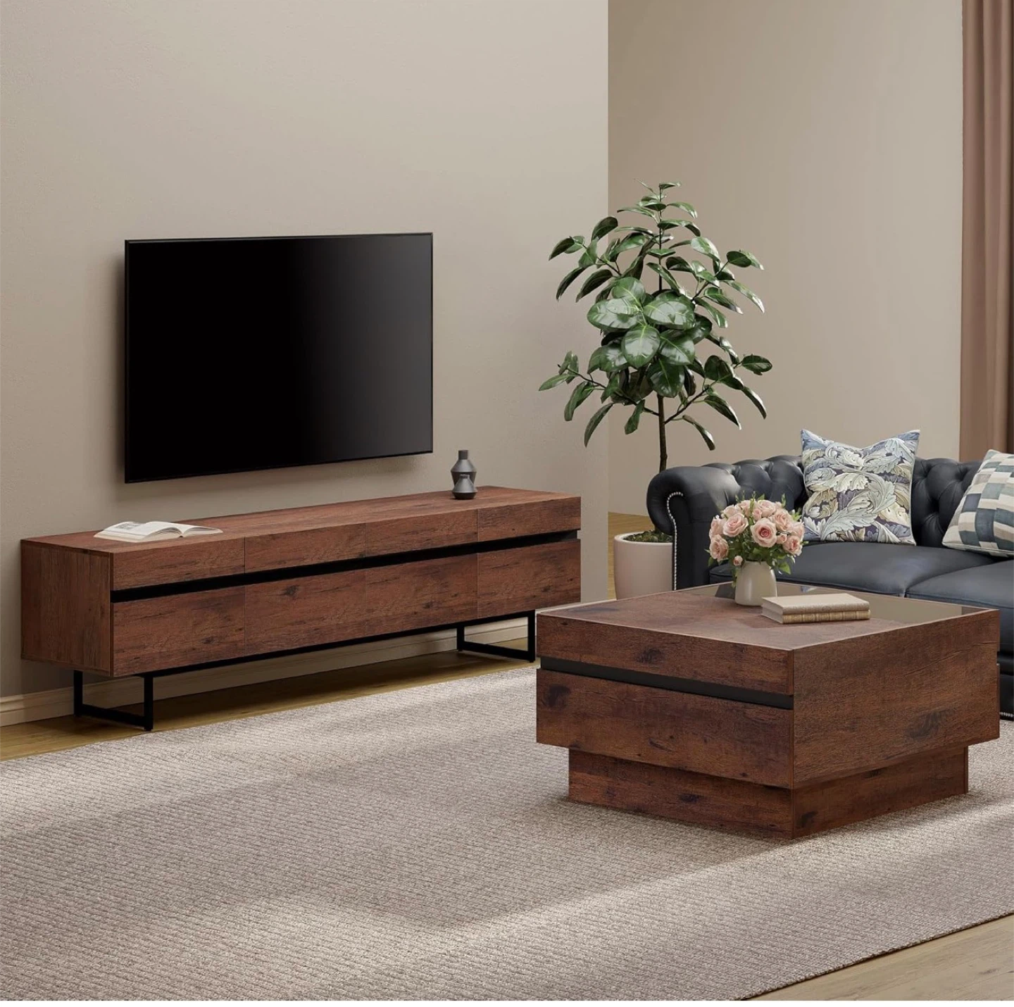 Modern Coffee Table & TV Stand