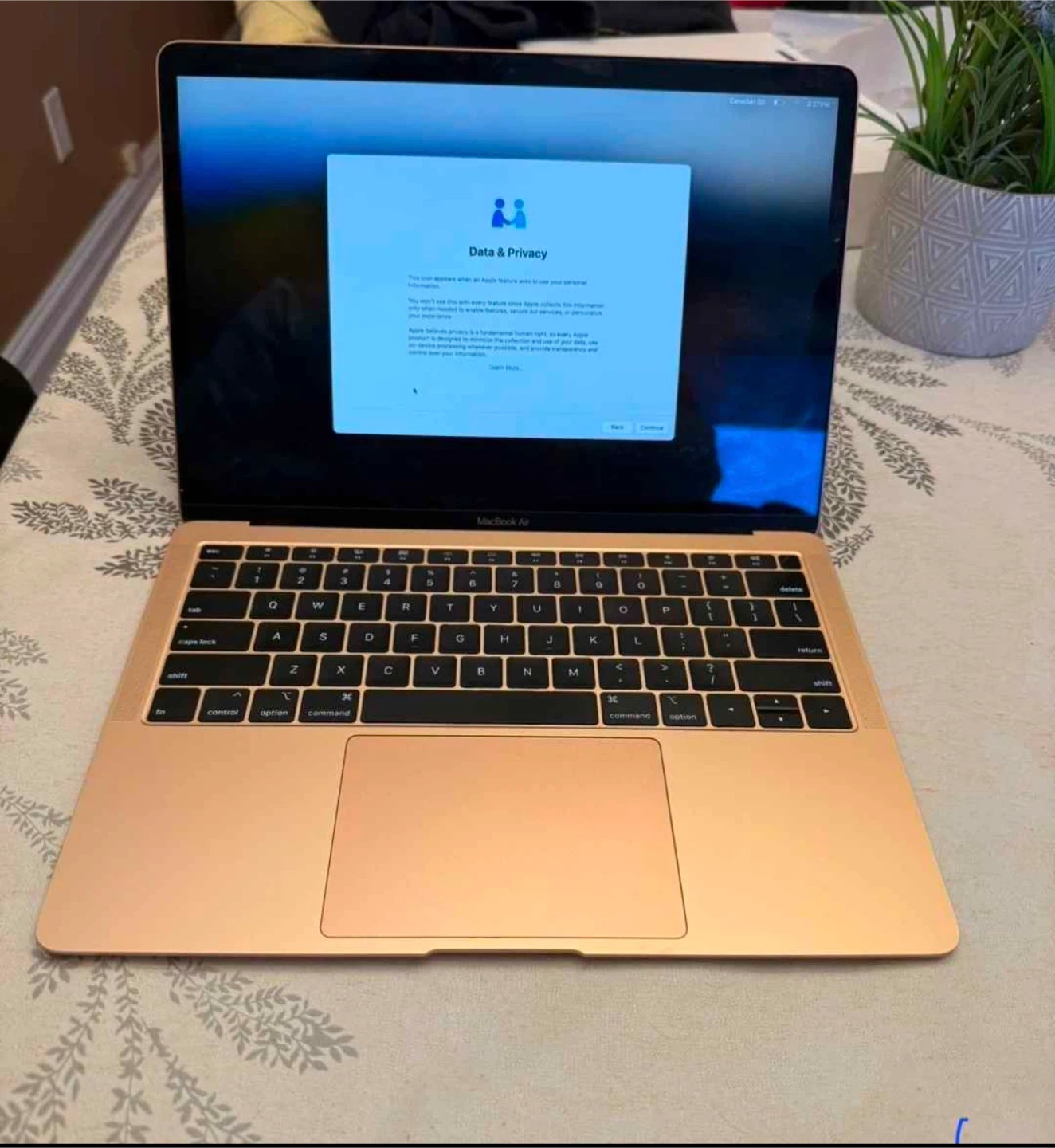 Apple MacBook Air (Gold)