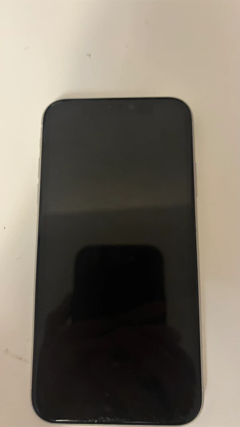 Apple iPhone 11 - photo 3