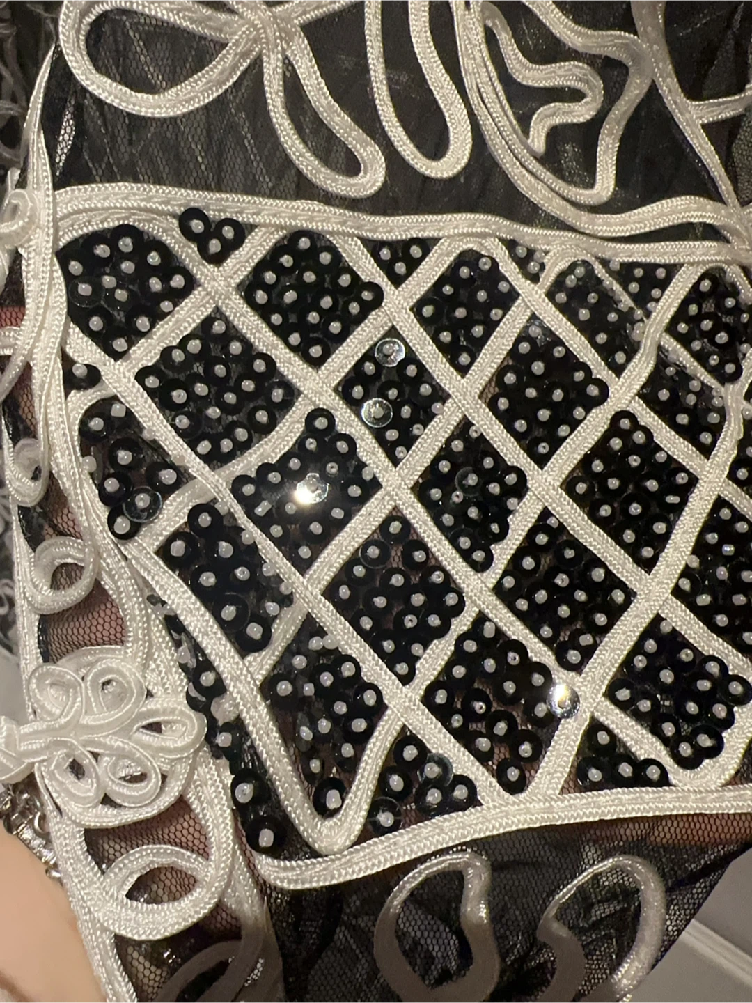 Sparkly and Beautiful Princess Cruises Sheer Embroidered Jacket - photo 3