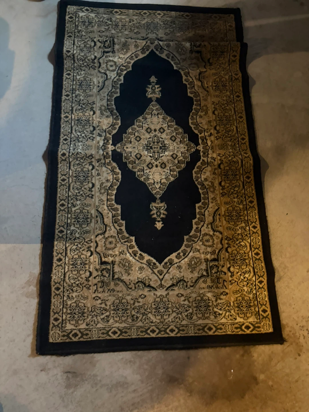 Persian Style Area Rug