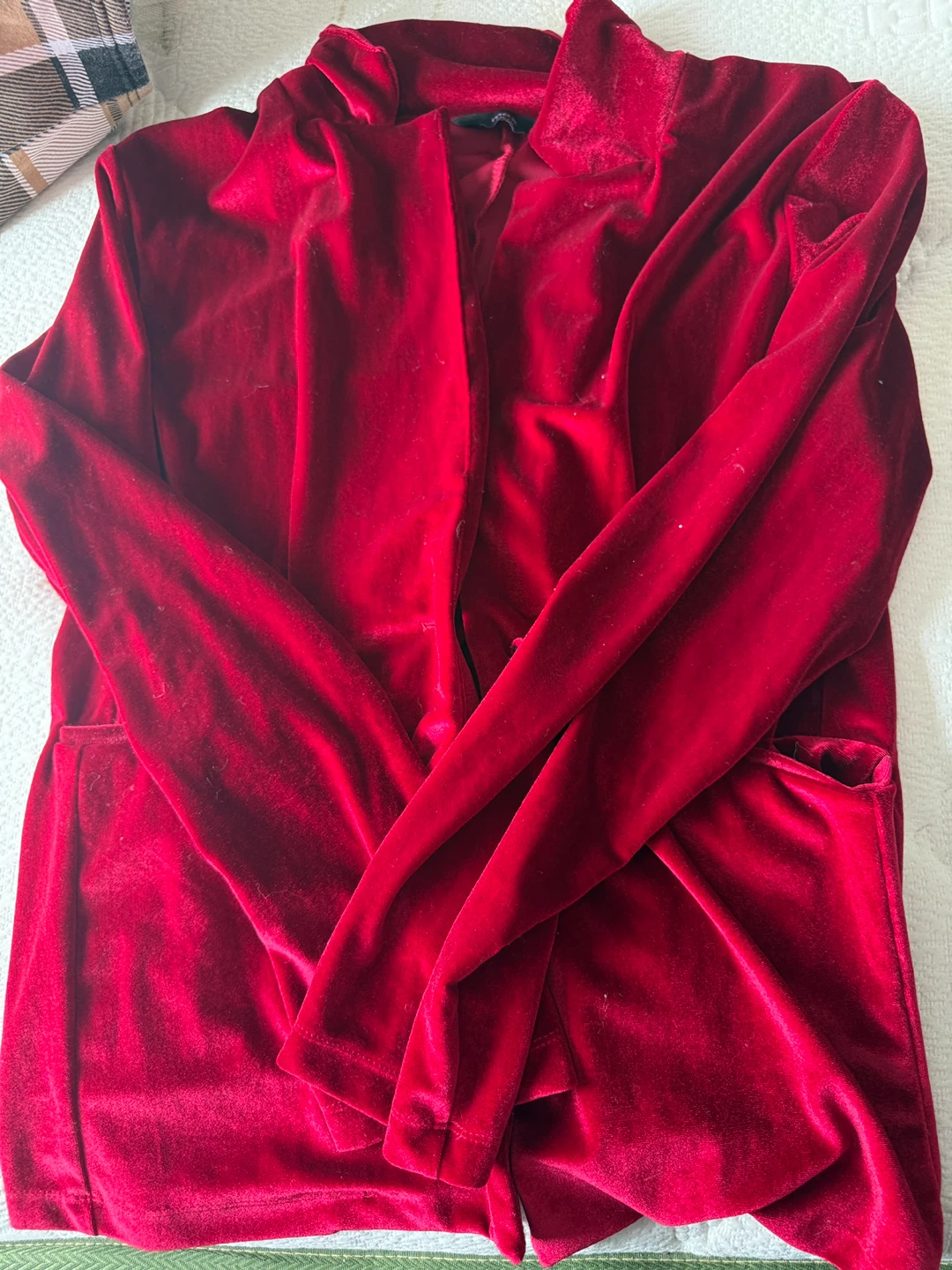 Red Velvet Blazer - Max XL/18 - photo 4