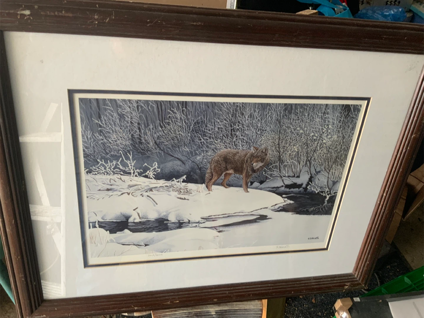 Framed Print of Wolf in Snowy Landscape by G. Heath