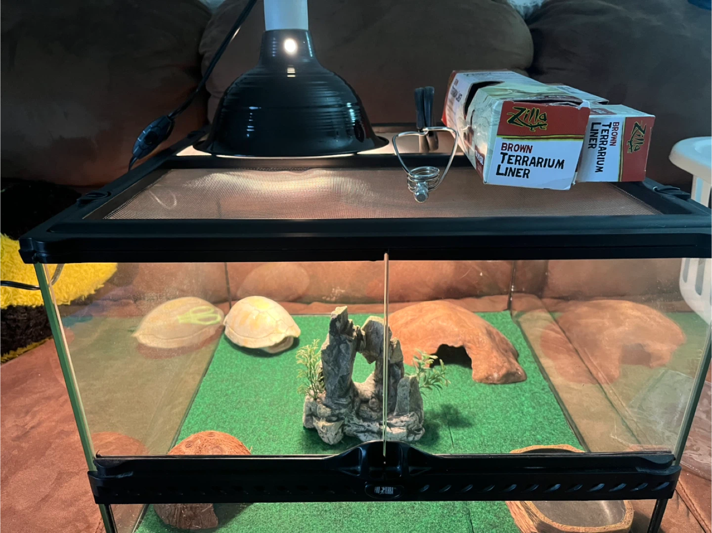 Zilla Terrarium with Brown Terrarium Liner