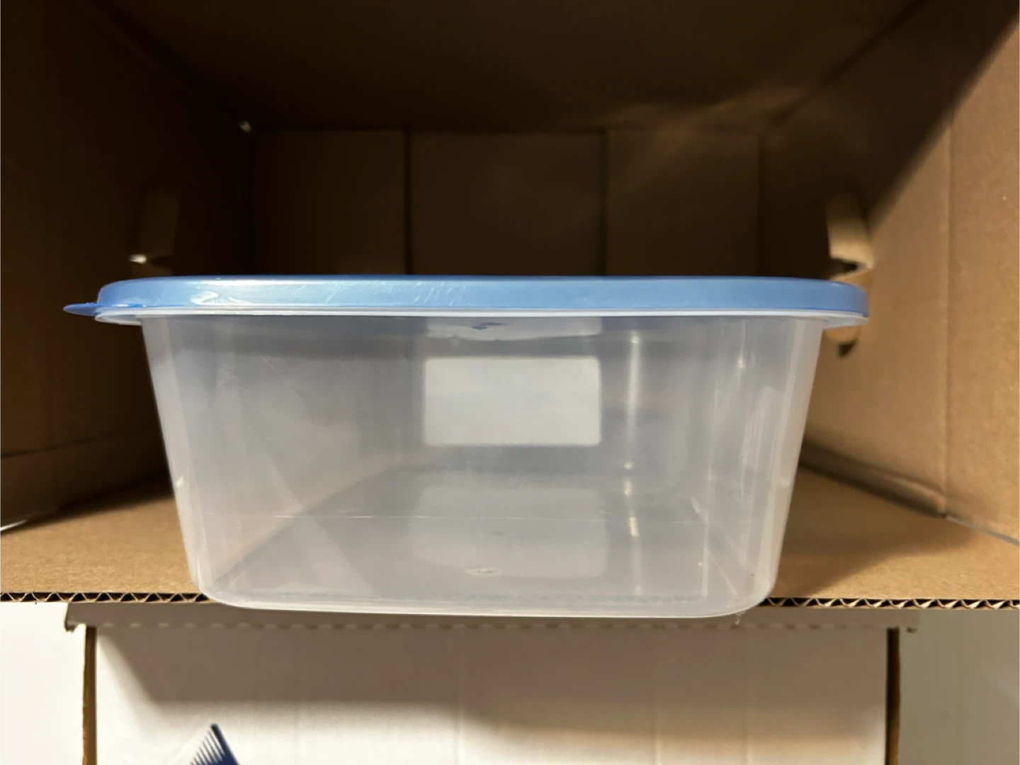 Clear storage container with blue lid - photo 3