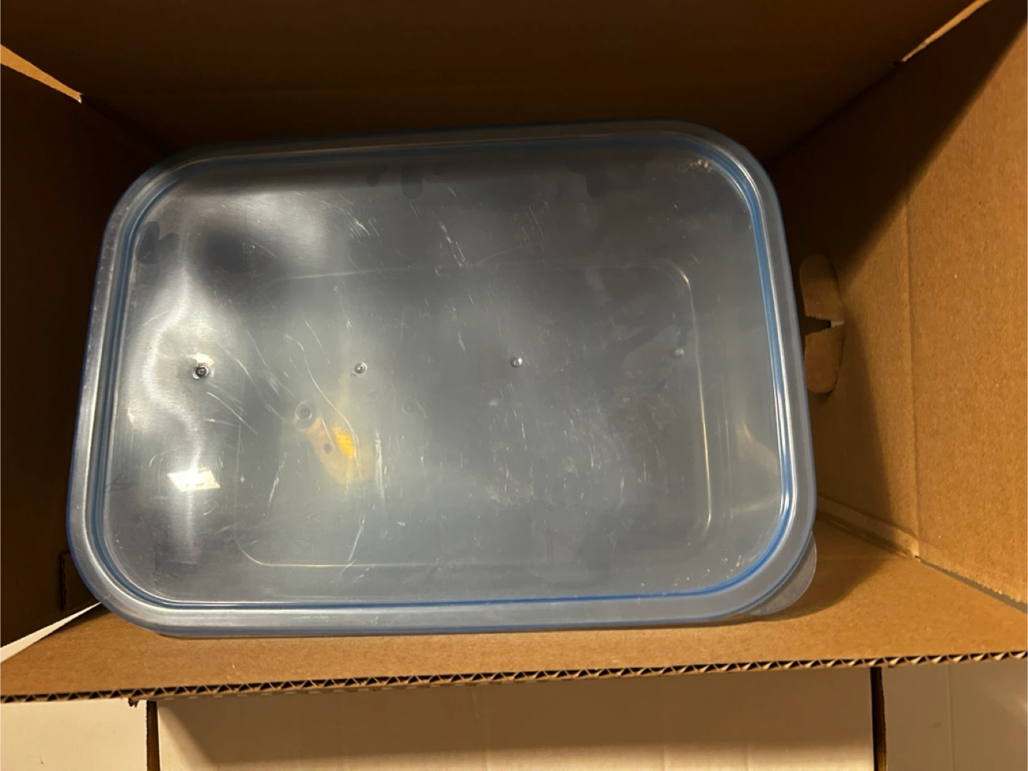 Clear storage container with blue lid - photo 4