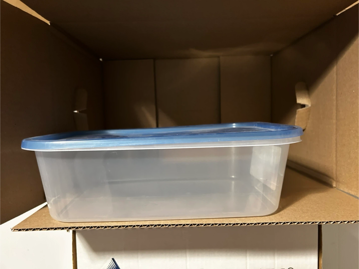 Clear storage container with blue lid