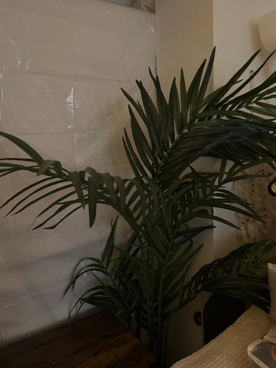 FEJKA Artificial Kentia Palm Potted Plant - photo 3